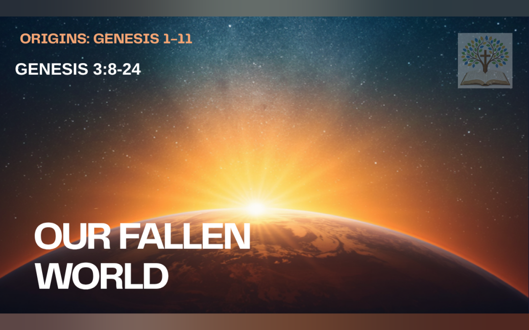 Our Fallen World sermon thumbnail